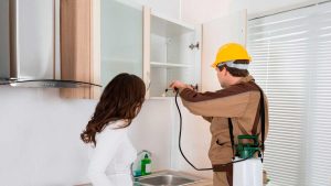 Pest control Services in Lahore and Termite Treatment in Lahore