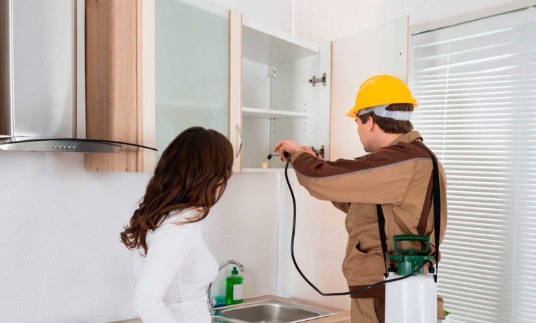 Pest control services in Lahore and Termite Treatment in Lahore