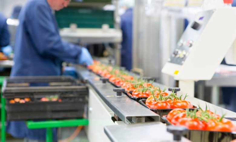 Workers busy in food processing