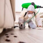 Pest Control Business in London