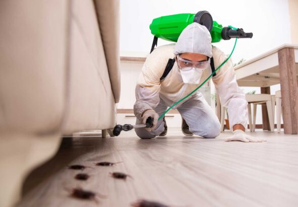 Pest Control Business in London