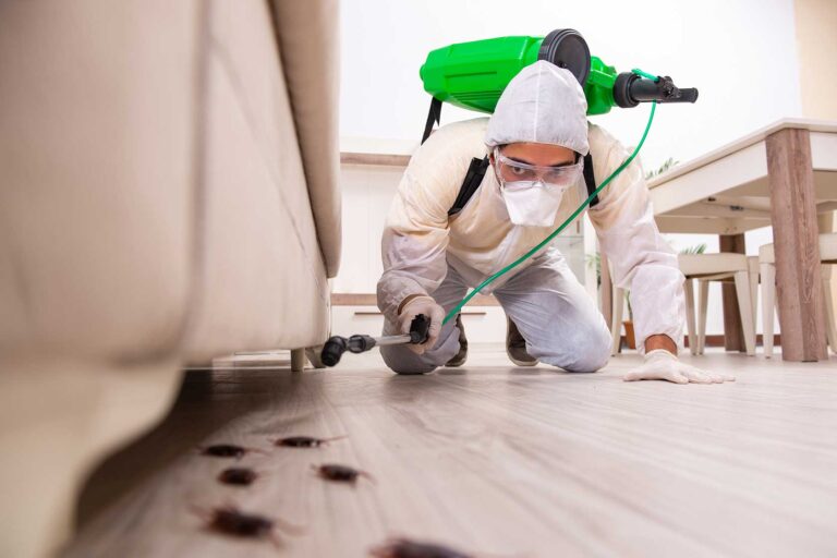 Pest Control Business in London