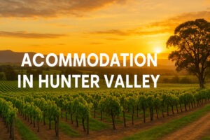 Finding the Perfect Accommodation in Hunter Valley: A Complete Guide