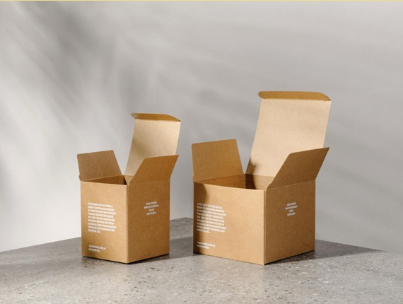 kraft-tuck-top-packaging
